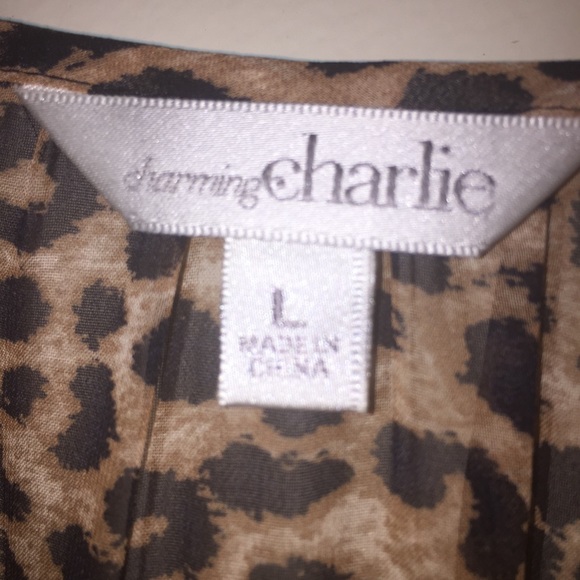 NWT Charming Charlie "Zora" Leopard Print Dress - Picture 6 of 8